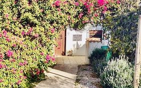 Lavender Lodge Almeria